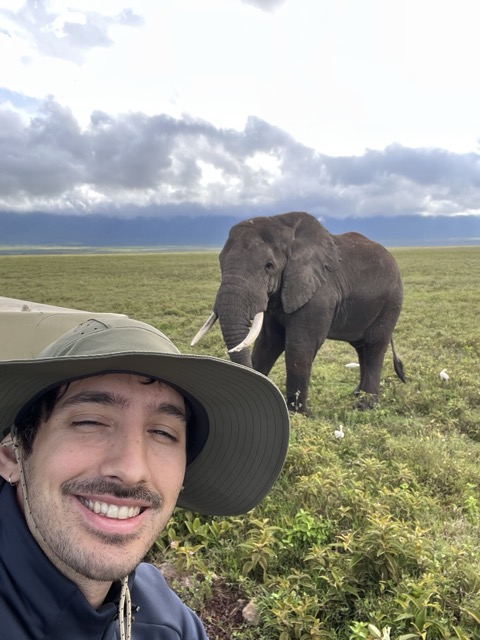 Savana Originale
